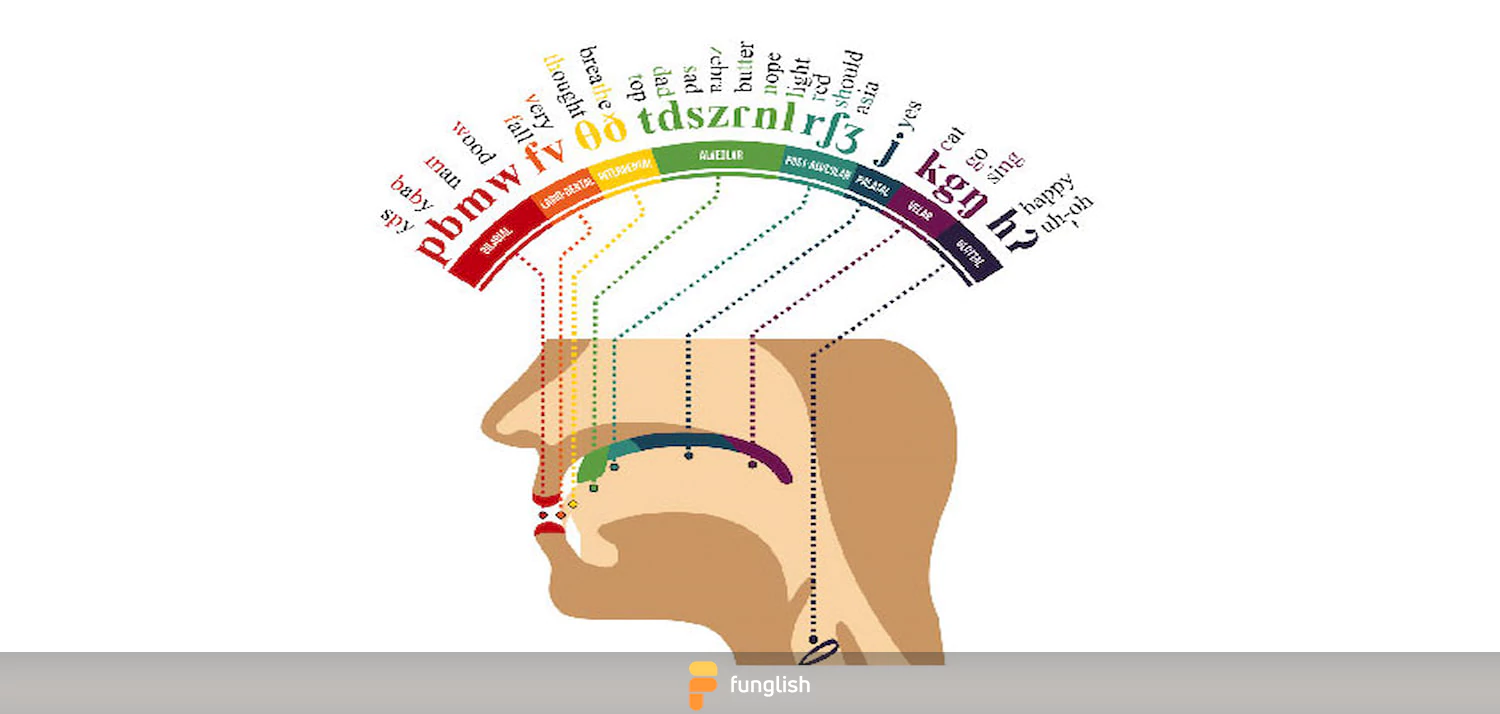 بررسی علائم فونتیک زبان انگلیسی به طور کامل